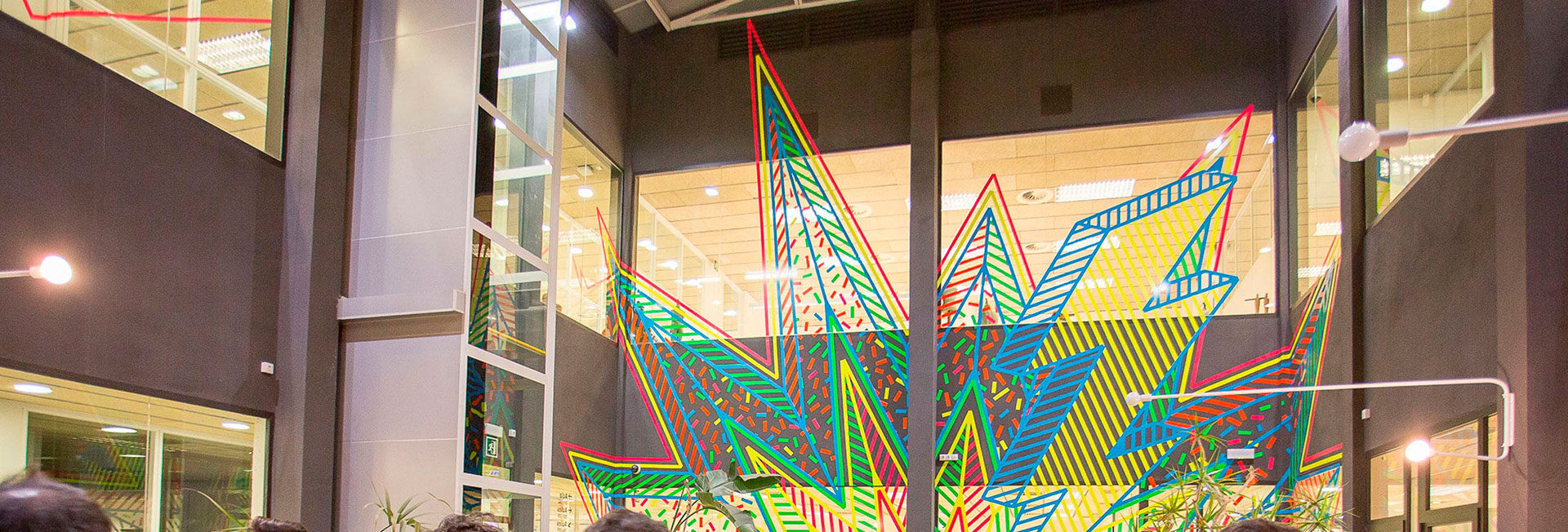 Бакалавр графічного дизайну