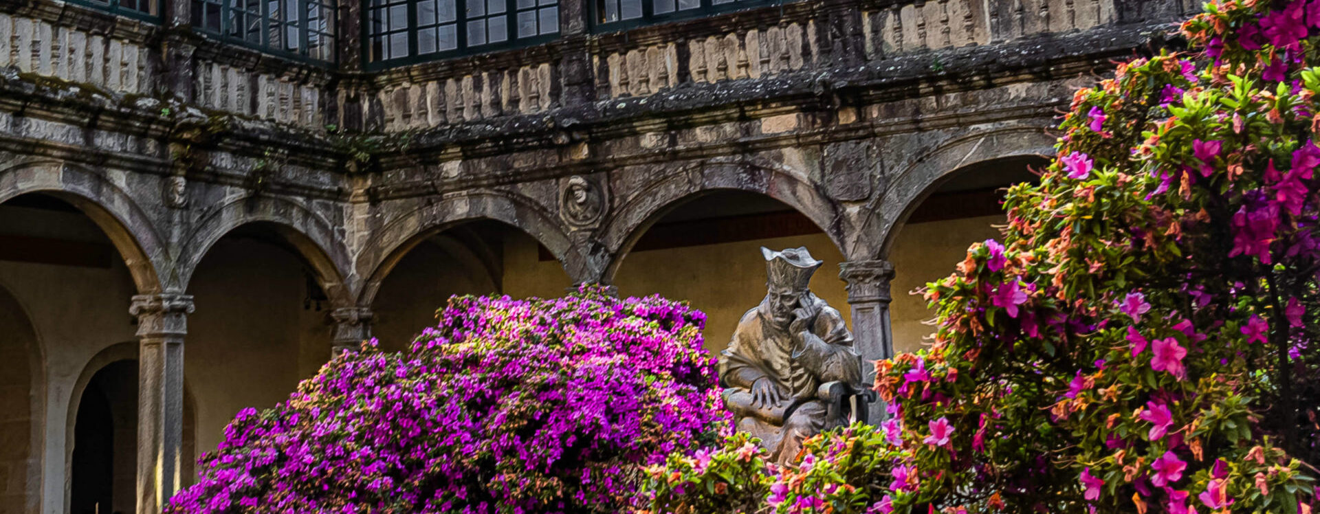 Бакалавр графічного дизайну