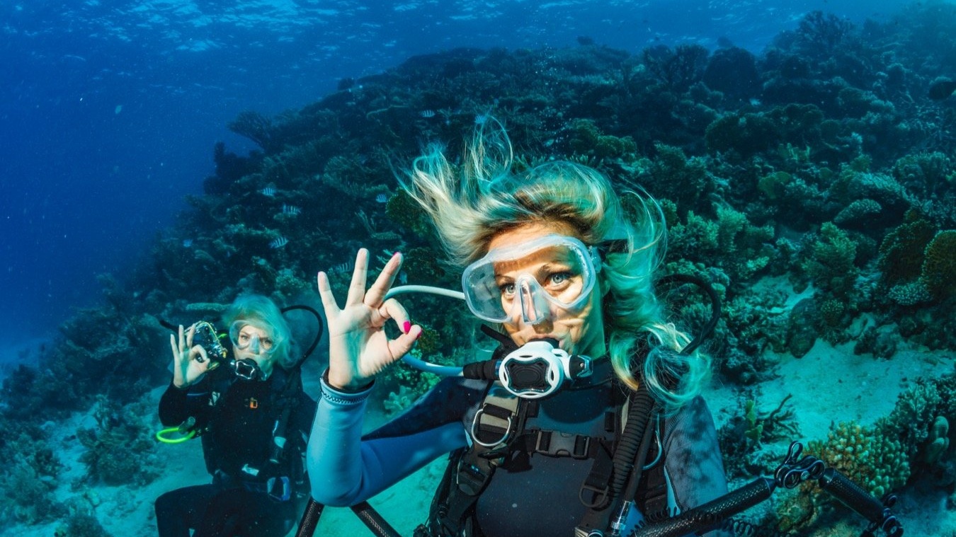 Французский и дайвинг
в Ницце и на Мартинике